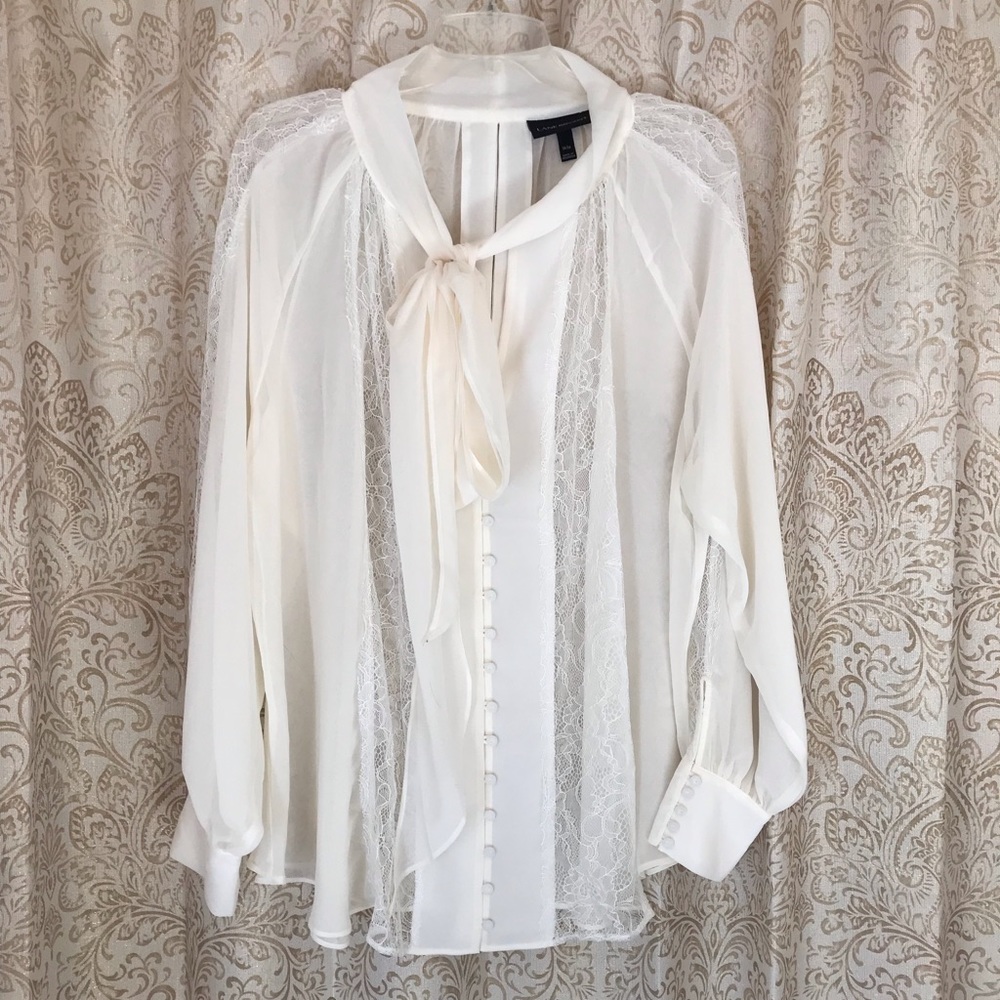 Sheer Lane Bryant GORGEOUS blouse